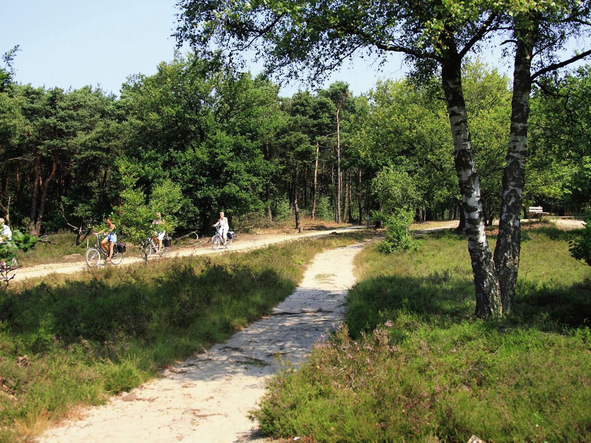 Stegeren Tasteful Chalet Near Ommen For Family מראה חיצוני תמונה